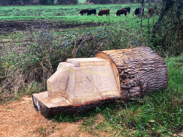 Wildlife Carvings Begin to Appear On Site