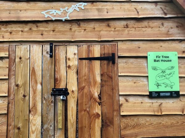 Building a Bat-Friendly Future at One Horton Heath!