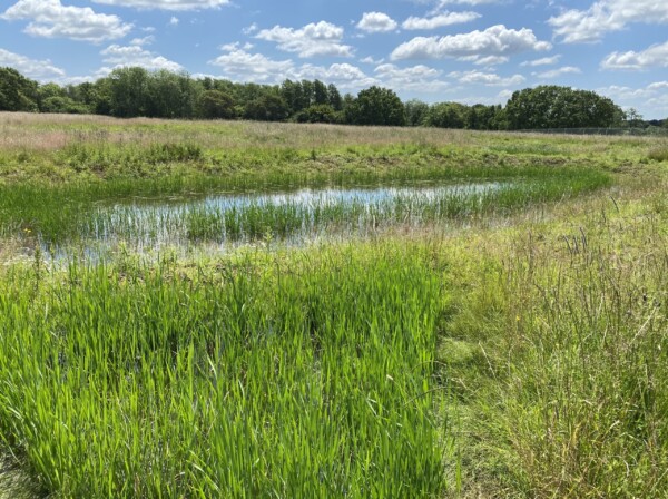 Progress Update: One Horton Heath – Delivering a Sustainable Future for Eastleigh