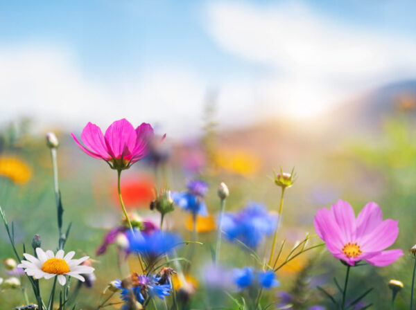 Brightening Your Home for Easter